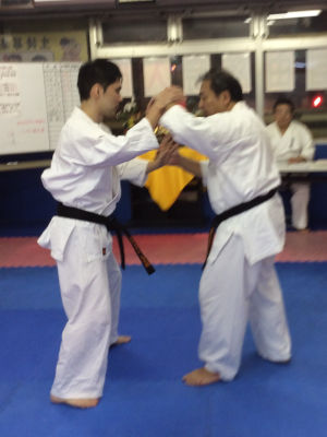 推手 イメージ2